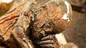 Strašidelné uzené mumie z Papuy-Nové Guiney