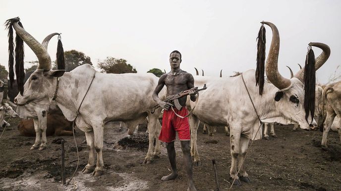 Každé ráno začíná u tohoto afrického kmene stejně. Vybraný mladík vstane, zběžně si vyčistí zuby klacíkem a pak si "umyje" hlavu pod nedaleko močící krávou. Improvizovaná sprcha má antibakteriální účinky a navíc mu zbarví vlasy do tradičních oranžových barev Mundariů. 