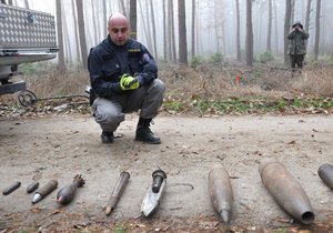 Boří les mezi Břeclaví a Valticemi je i více než 70 let od skončení 2. světové války plný nejrůznější munice. Podle odhadů je jí tam několik desítek tisíc kusů.