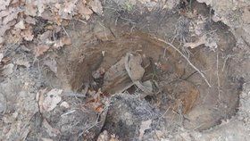 Dělostřelecký granát a leteckou pumu našli dělníci při rekonstrukci tratě mezi Břeclaví a Znojmem ve Valticích. Obě miny byly funkční. (Ilustrační foto)
