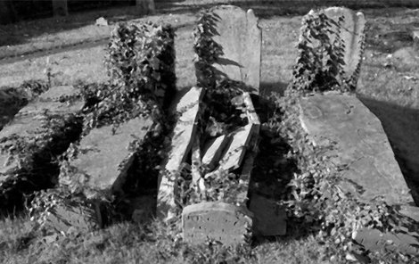 Zloději vykradli pouze hrob Murnaua.