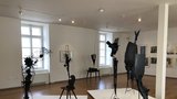 Neobyčejné skulptury sochaře Janouška jsou k vidění v Museu Kampa. Po pandemii znovu otevřelo své brány