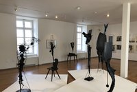 Neobyčejné skulptury sochaře Janouška jsou k vidění v Museu Kampa. Po pandemii znovu otevřelo své brány