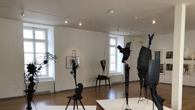 V Museum Kampa je k vidění unikátní retrospektivní výstava sochaře Vladimíra Janouška