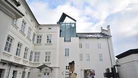 Museum Kampa představilo 8. února novou výstavu s názvem Angelo Maria Ripellino: Praha byla krásnější než Řím