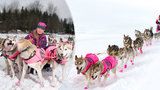 Hvězda filmu Psí láska: Musherka Jana Henychová se spřežením ujede i 240 km za den!