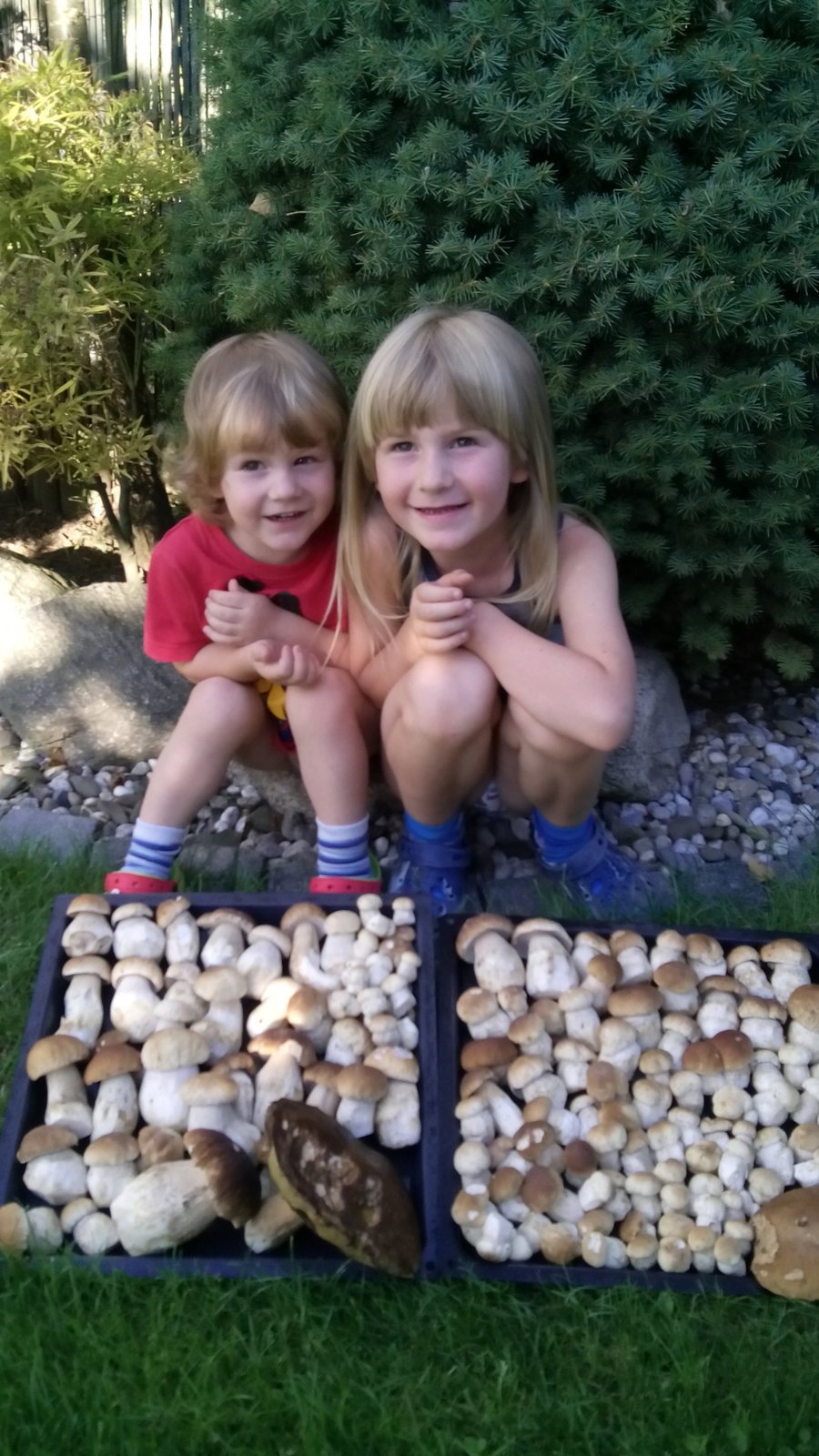 Bráškové Eda a Ríša jsou vášniví houbaři. I letos se jim zadařilo.