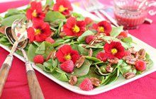 Jedlé květiny – voňavé a plné vitaminů: Krása na talíři!