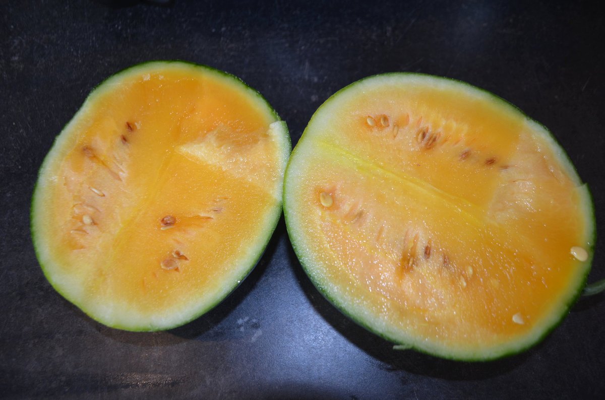 Takto vypadají po rozkrojení oranžové melouny.