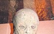 Dodnes nikdo přesně neví, která mumie je Florián Gryspek. Podle průzkumů oblečení je nejstarší mumií v kralovické hrobce právě tato (rok 1588), a protože byl Florián tady pochován jako první, patří tyto ostatky zřejmě tomuto muži.