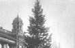 První Vánoční strom republiky stál od 13. prosince 1924 na náměstí Svobody v Brně.