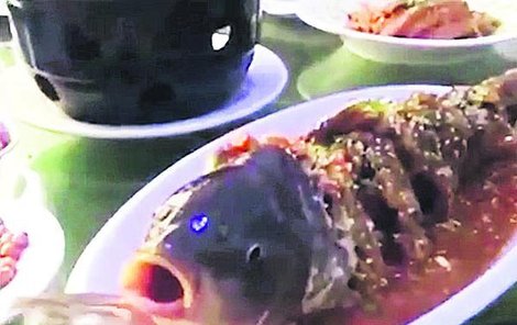 Živá ryba přímo na talíři...