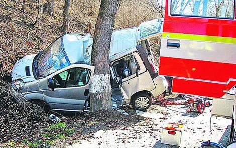 Otec vyletěl s vozem ze silnice přímo do stromu.