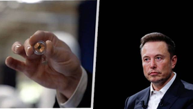 Elon Musk a čip