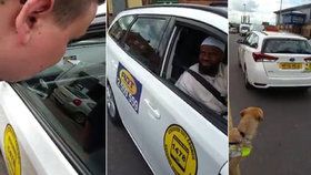 Muslimský taxikář odmítl naložit slepce s asistenčním psem: Prý kvůli své víře