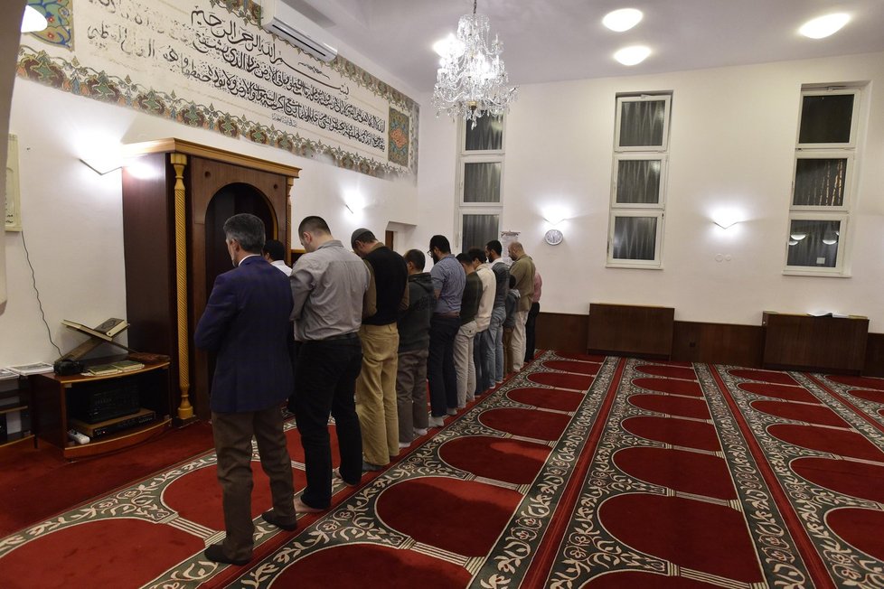 Akce Pojďte s námi do mešity: V Brně pozvali muslimové do své modlitebny veřejnost