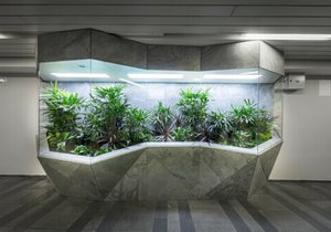 Ve stanici metra Můstek je speciální instalace s květinami. Vytvořili ji výzkumníci z ČVUT