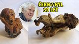 Profesor ukázal svoji sbírku hrůzy. Mutanty z Černobylu naložené v lihu