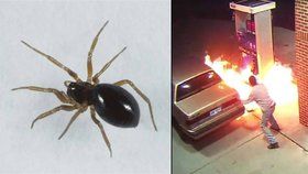 Muž vytáhl zapalovač na pavouka, omylem zapálil benzinku