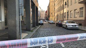 Policisté v bytě v centru Prahy našli mrtvého psychicky nemocného muže.