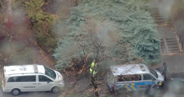 Muž se zřítil ze střechy domu, dopadl na chodník, byl na místě mrtvý. Hrůzný pohled na jeho tělo se naskytl sousedům.