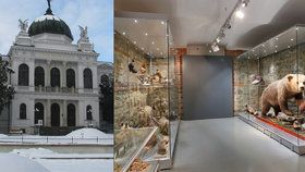 Nejstarší veřejné muzeum v Česku najdete ve Slezsku. Historie tamějšího zemského muzea v Opavě sahá až do roku 1814.