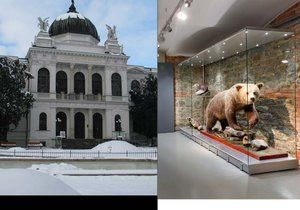 Nejstarší veřejné muzeum v Česku najdete ve Slezsku. Historie tamějšího zemského muzea v Opavě sahá až do roku 1814.