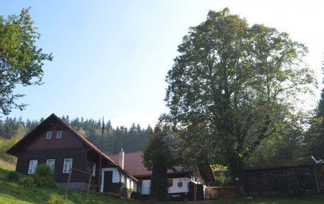 Ratiboř - na pasekách, kde končí silnice, je nejmenší vojenské muzeum.