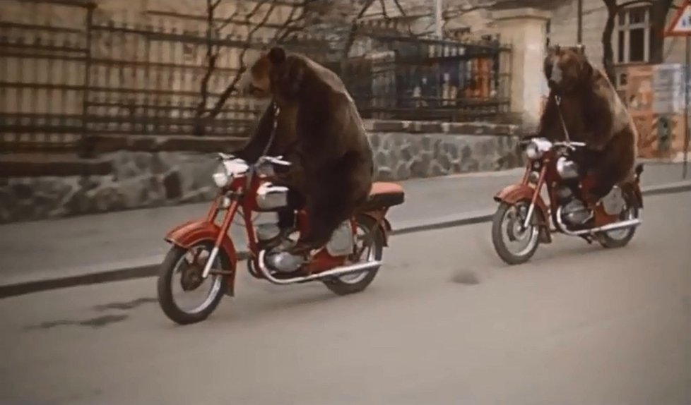 Z natáčení filmu Šest medvědů s Cibulkou.