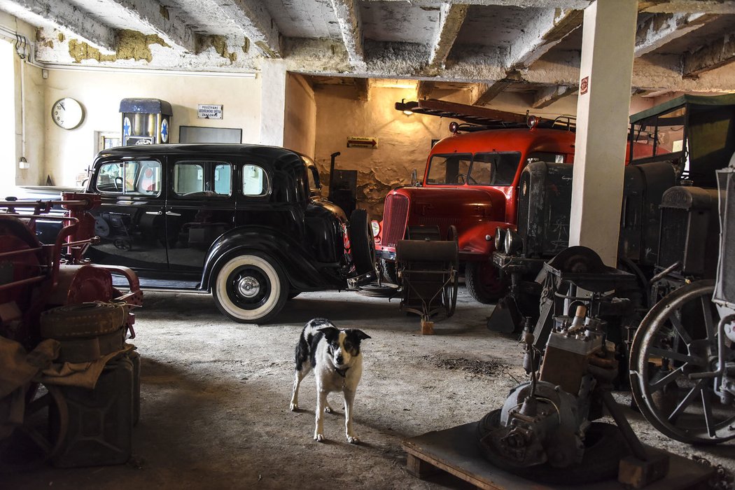 Muzeum a filmová půjčovna Martina Stárka