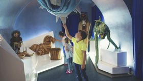 Plzeň děti baví: Vyzkoušejte tsunami, loutky nebo podzemí v zoo