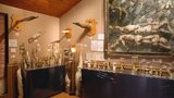 Muzeum penisů, vlasů nebo psychiatrie: To jsou nejdivnější muzea světa!