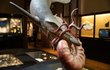 Hlavonožec amonit z tlamy mosasaura ještě může uniknout, muzeum nabízí jejich modely i zkameněliny.