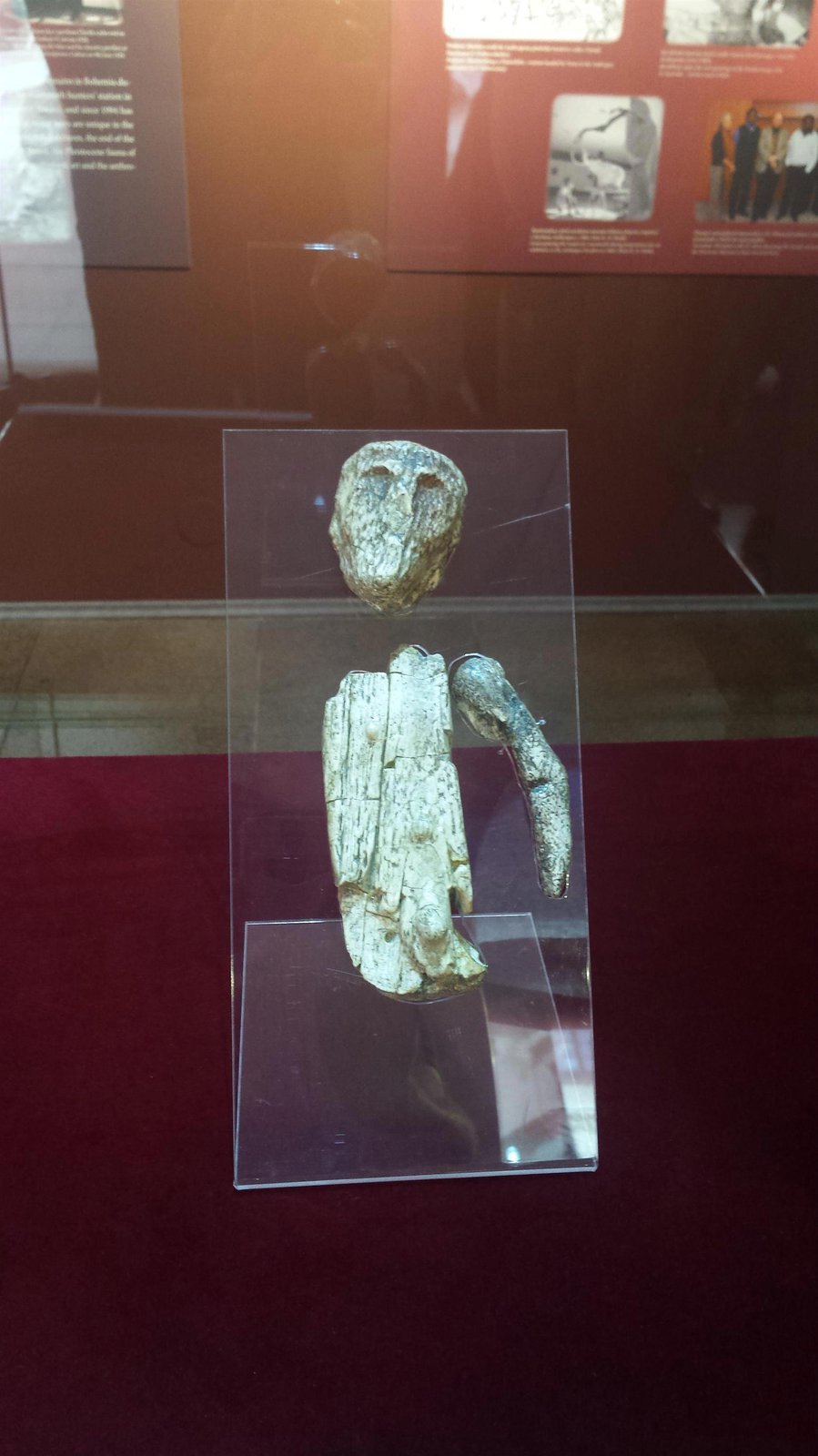 Mužská plastika (Soška šamana) je stará asi 27 000 let, byla objevena v roce 1891 na křižovatce Přadlácké a Francouzské v brněnském Cejlu jako součást hrobu.