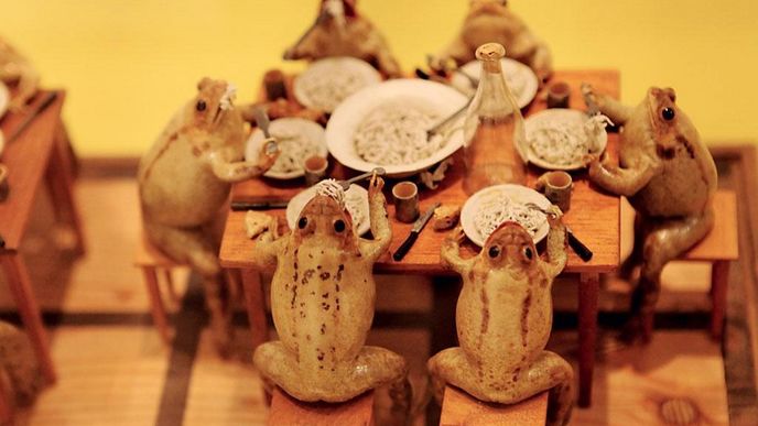 Muzeum vycpaných žab v malebném švýcarském městečku Estavayer-le-Lac