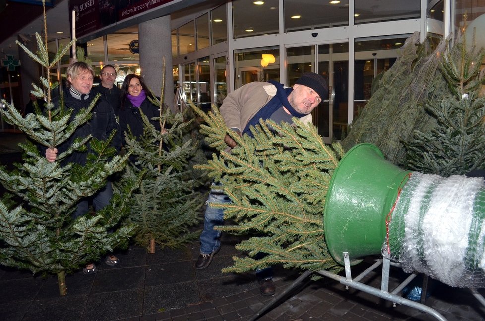 Do 21.prosince si můžou Brňané koupit stromek od Romana Horkého.