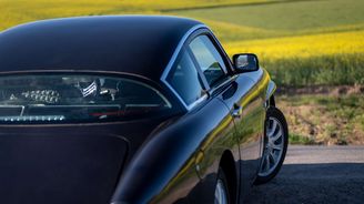 MW Motors Luka TED MW Motors Luka TED