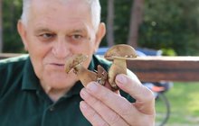 Mykolog Václav Koplík (75): Na houby chodí už 65 let