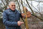 Mykolog Václav Koplík (72) z Ratíškovic našel 30. prosince 2017 na bezu Jidášovo ucho.