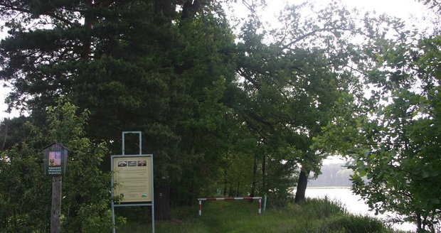 Mykologická rezervace vznikla v roce 1988 a rozkládá se u Lučního rybníka na Táborsku
