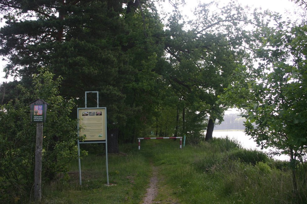 Mykologická rezervace vznikla v roce 1988 a rozkládá se u Lučního rybníka na Táborsku