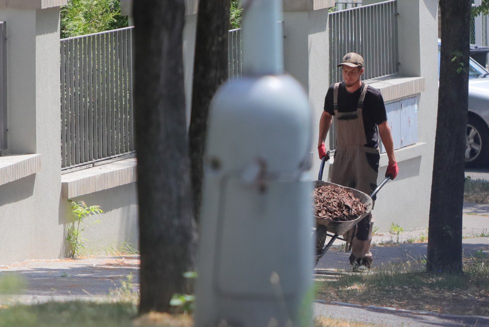 Práce u vily Vratislava Mynáře finišují.