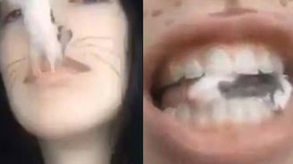 Jen pro silné žaludky! Dívka ve videu sní živou myš Jen pro silné žaludky! Dívka ve videu sní živou myš