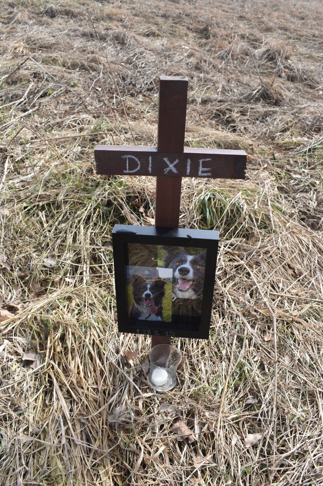 Křížek na památku Dixie (†10) u místa, kde vydechla naposledy.