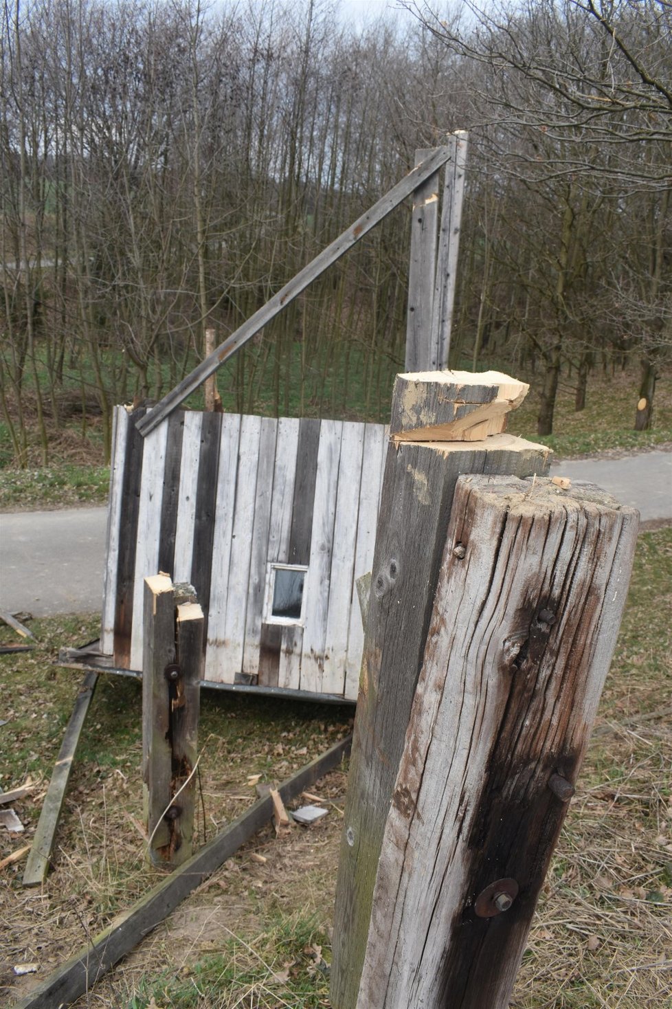 Posed v Darkovicích, ze kterého myslivec zastřelil border kolii Dixie (†10) někdo podřezal.