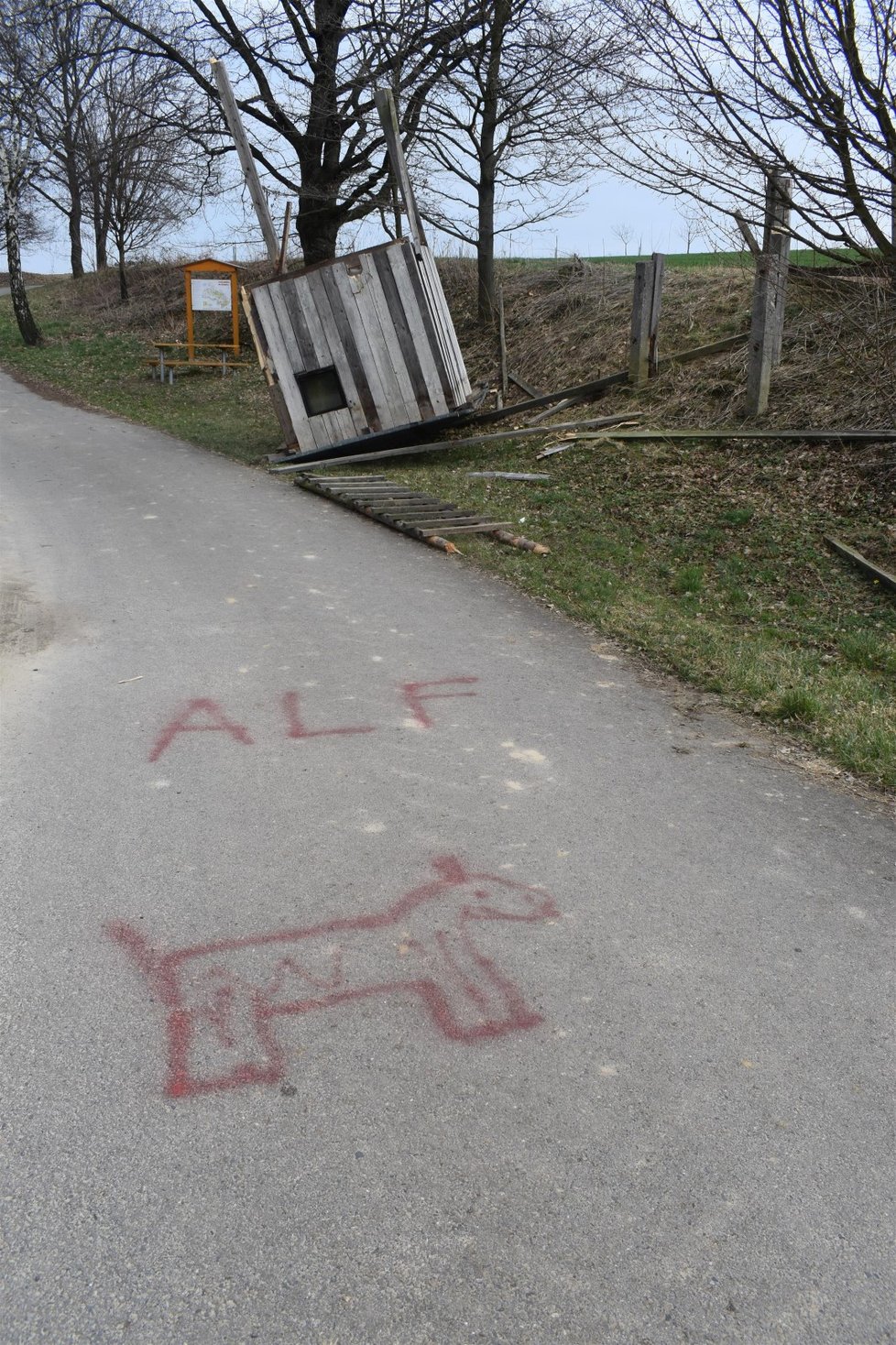 Posed v Darkovicích, ze kterého myslivec zastřelil border kolii Dixie (†10) někdo podřezal.