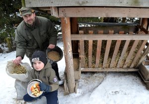 Zrno, seno, jablka a sůl může do krmelců přinést kdokoliv. Myslivci a hlavně obyvatelé lesa to ocení.