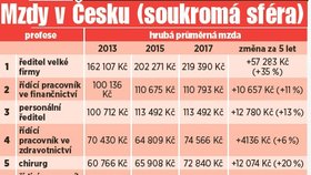 Mzdy v Česku (soukromá sféra)