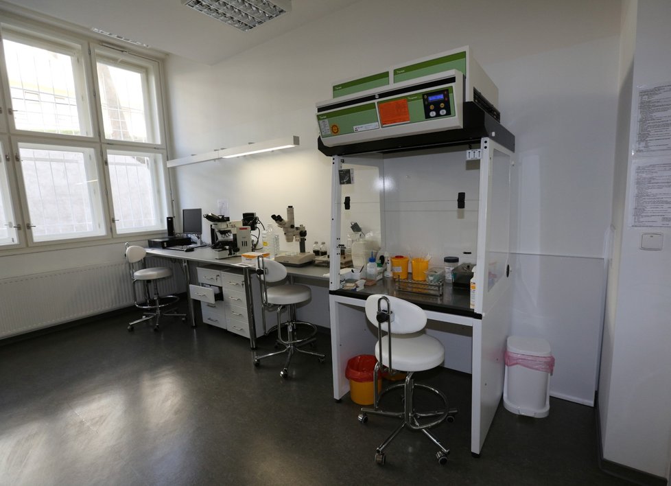 Moderní laboratoře v Nemocnici Na Bulovce