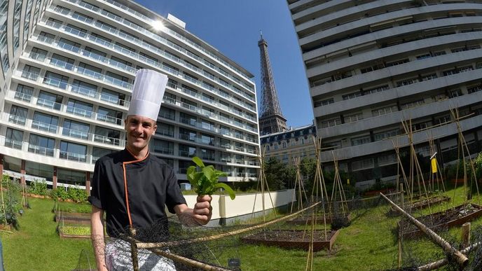 Na pařížských střechách mají šéfkuchaři zelinářské zahrádky